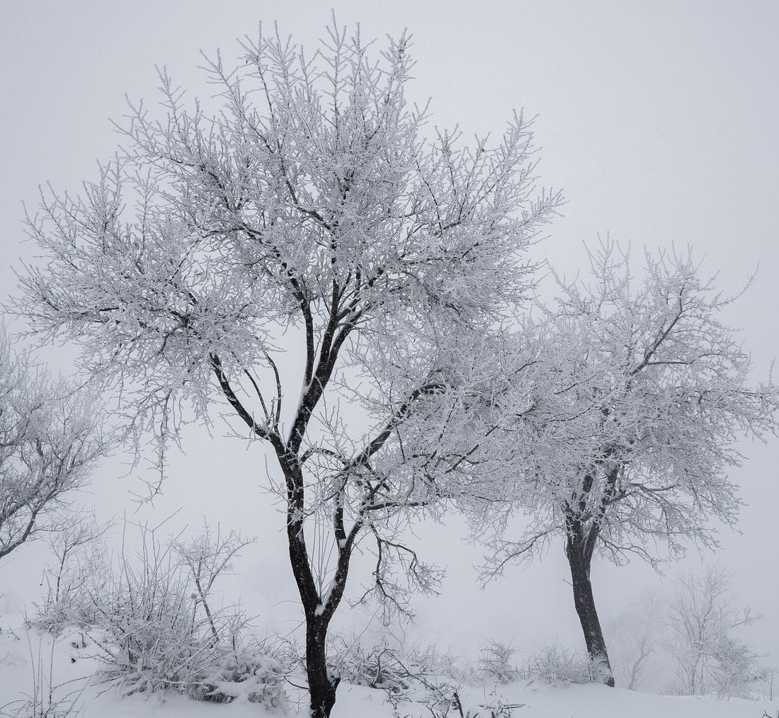 How the Weather Taught Me to Embrace Being an INFP
