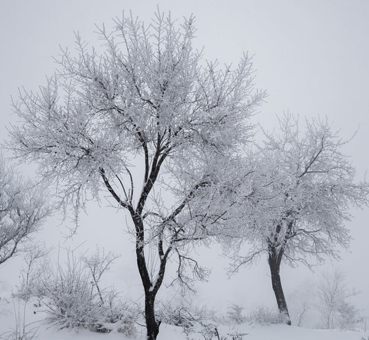 How the Weather Taught Me to Embrace Being an INFP